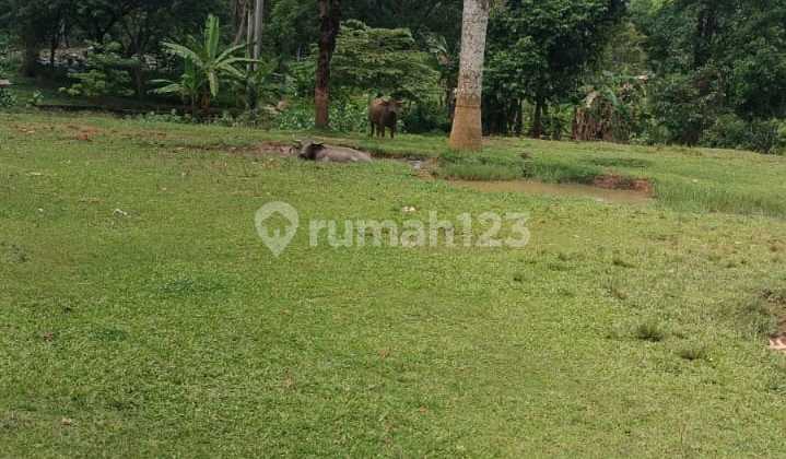 1 plot of land with a total area of 10,280 in Cisoka 1 plot of land with a total area of 10,280 in Cisoka