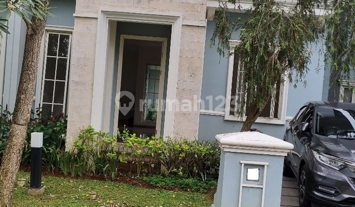 daru suvarna turun harga daru suvarna turun harga