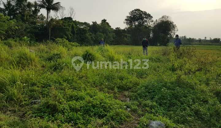 TANAH SINDANG JAYA LUAS 1050m