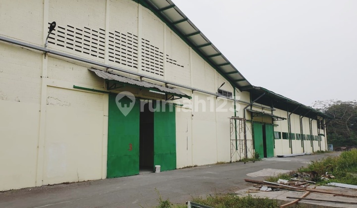 Disewakan Gudang Bagus Di Balaraja Timur Dekat Pintu Top Disewakan Gudang Bagus Di Balaraja Timur Dekat Pintu Top