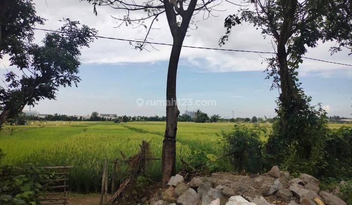 Tanah Industri Di Cikande  Luas 29ha Dekat Ke Pintu Tol 1