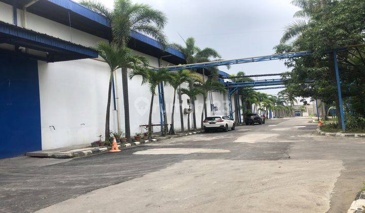 Disewakan Gudang Di Cikande Dekat Ke Pintu Tol Bangunan Bagus 2