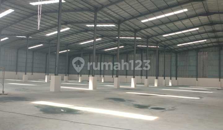 New Warehouse for Rent in Pakuhaji Tangerang Available in Various Sizes