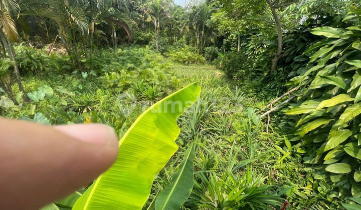 Dijual Kavling Di Meruya Jakbar Kavling Bri Cocok Buat Gudang Dijual Kavling Di Meruya Jakbar Kavling Bri Cocok Buat Gudang