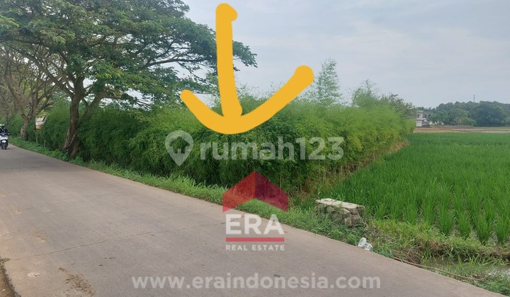 Dijual Tanah di Pinggir Jalan Bengle Karawang 3