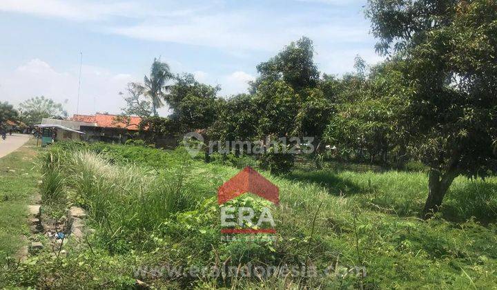 Tanah di Jalan Raya Pabayuran Bekasi 1,5jt m Aja  3