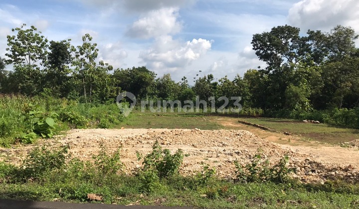 Rumah 200 Jutaan, Sertifikat Sudah Pecah Di Wonosari, Jogja 6