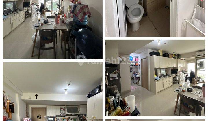 Apartemen Paradise Mansion 1