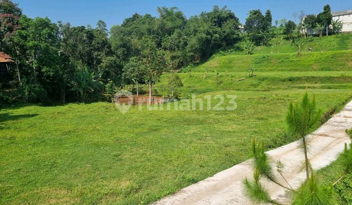 Tanah Strategis Di Puncak Shm Siap Bangun Tanah Strategis Di Puncak Shm Siap Bangun