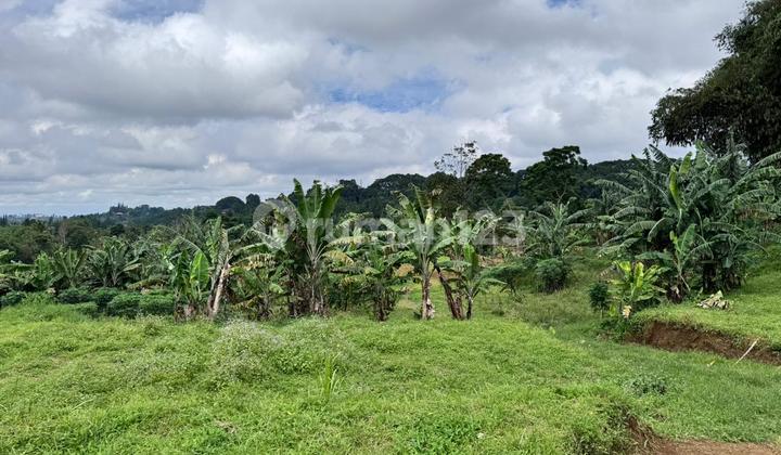 Di Jual Cepat Murah Di Puncak Shm Siap Bangun 