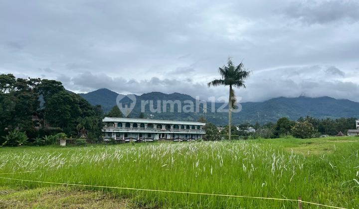 Tanah Trategis Cisarua Dekat Wisata Puncak