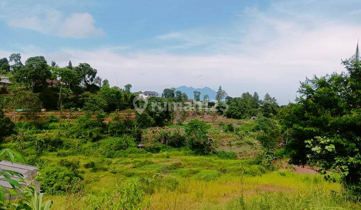 Tanah dijual di puncak bogor view lembah  2