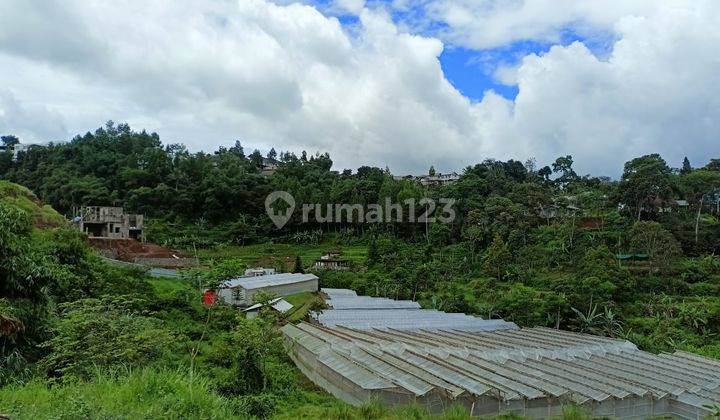  Tanah di dekat  wisata puncak bogor SHM  2