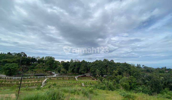 Tanah dijual jalan alternatif puncak bogor 2