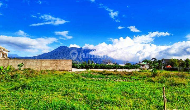 Tanah murah dekat taman safari puncak bogor 1