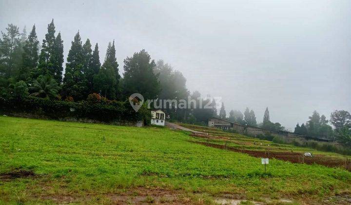 Tanah murah dekat dengan wisata puncak Bogor  SHM 2