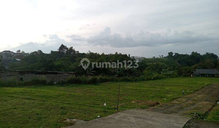 Tanh view gunung  dekat jalur wisata puncak  2