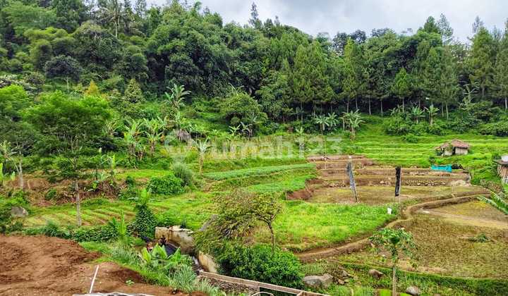 Jual cepat tanah murah milik pribadi SHM  5