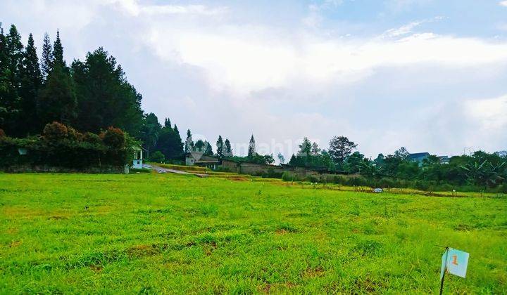 Tanah Murah Dekat Wisata Puncak Bogor SHM  2