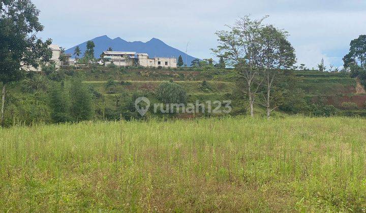 Tanah Murah Dekat Wisata Puncak Bogor SHM  1