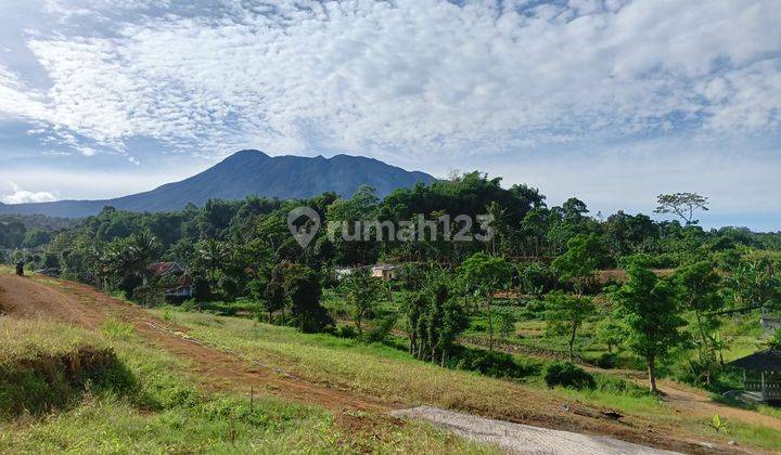 Tanah berada di lokasi kawasan wisata Puncak Bogor  1