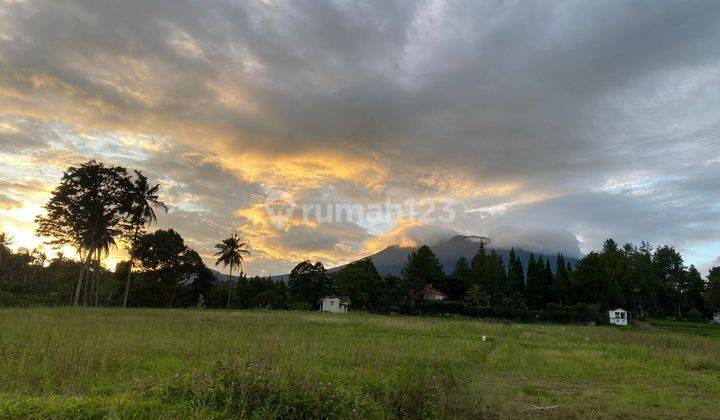 Tanah di puncak Bogor legalitas shm siap bangun  1