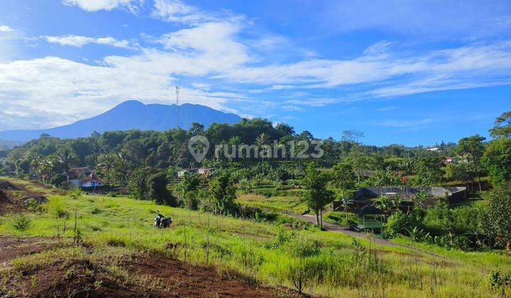 Tanah murah di puncak dekat wisata puncak siap bangun 1