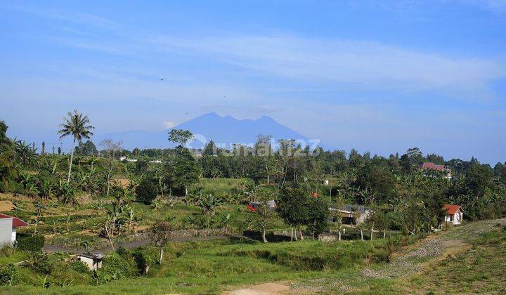 Di jual tanah dekat jalan raya puncak siap bangun  1