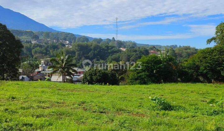  Tanah View Gunung Puncak Cisarua Bogor SHM 1