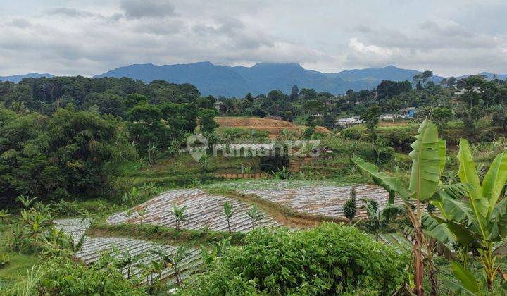 Tanah strategis dekat wisata puncak shm  1