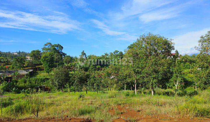 Tahan dekat dengan taman safari puncak shm  2