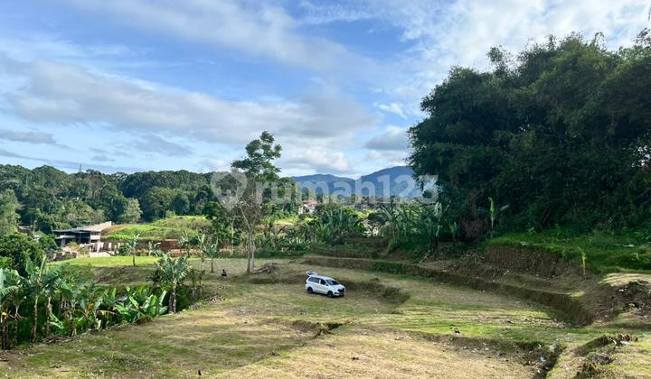 Jual Cepat Tanah Murah di Puncak Siap Bangun