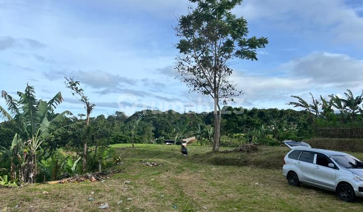 Di Jual Tanah Murah 500 Meter Siap Bangun Puncak Bogor