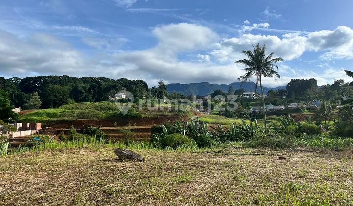 Di Jual Cepat Tanah di Pumcak Murah Siap Bangun