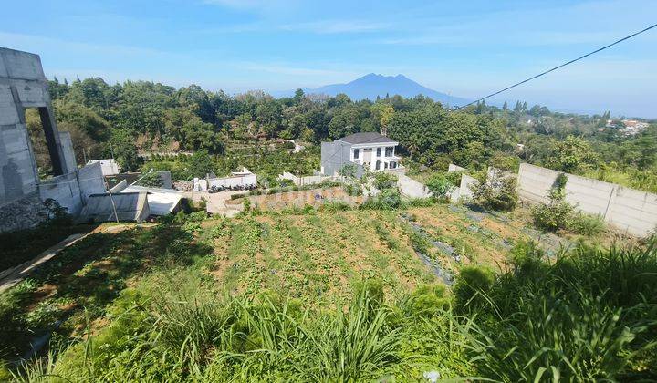 Jual Cepat Tanah Murah di Puncak SHM Siap Bangun 2