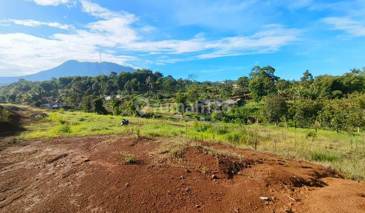 Tanah Yang Berada di Area Wisata Puncak SHM  1