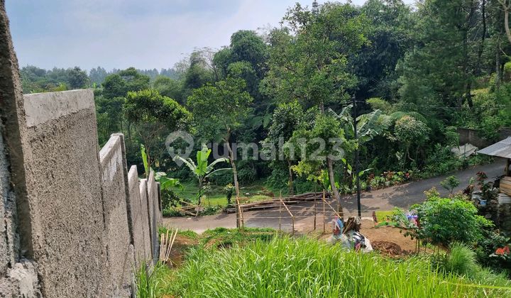 Tnah Murah.di.puncak.shm.siap.bangun Tnah Murah.di.puncak.shm.siap.bangun