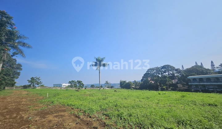 Tanah Strategis 200 Meter Jalan Raya Puncak Tanah Strategis 200 Meter Jalan Raya Puncak