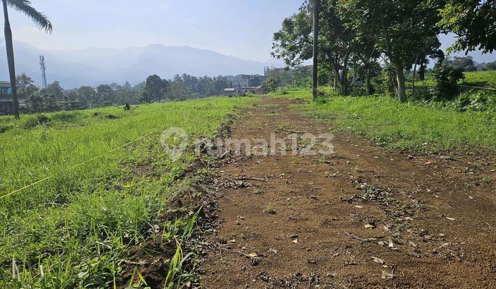 Tanah Strategis 200 Meter Jalan Raya Puncak Tanah Strategis 200 Meter Jalan Raya Puncak