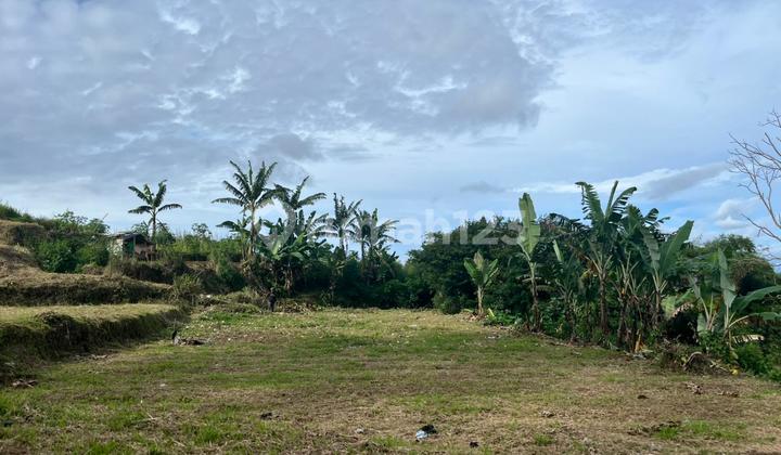 Jual Cepat Tanah Murah di Puncak Siap Bangun