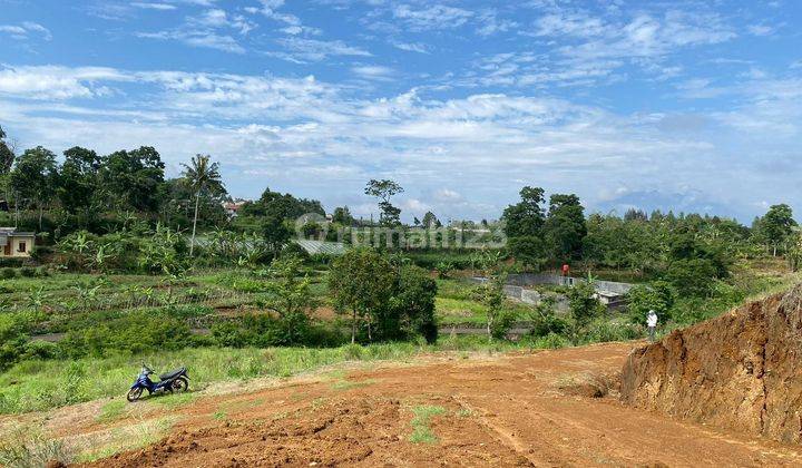 Tanah Murah di Puncak Shm Siap Bangun Permanen 2