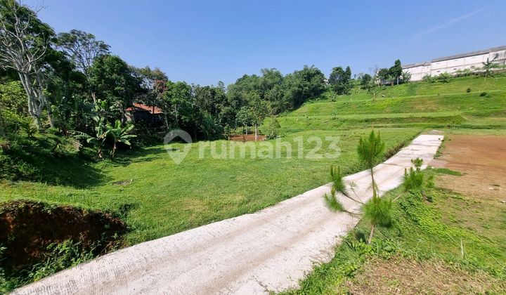 Tanah Strategis Di Puncak Shm Siap Bangun Tanah Strategis Di Puncak Shm Siap Bangun