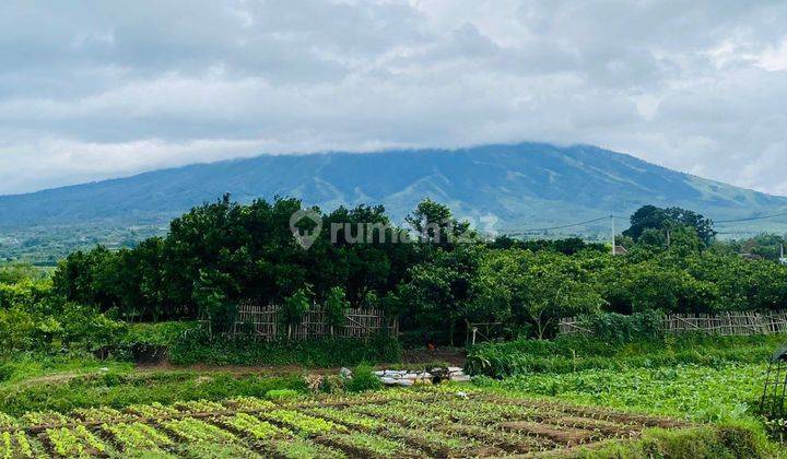 Villa Kota Batu Siap Dipakai Tahun Baru  2