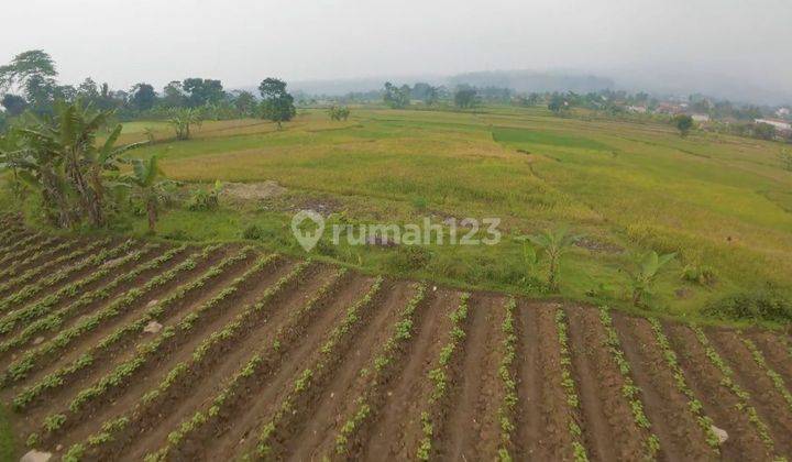 Kavling untuk villa atau Rumah di Gunung Sari, Pamijahan, Bogor 2