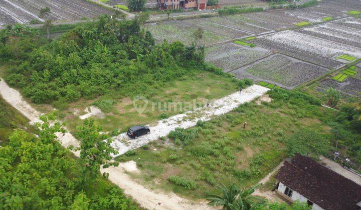 Legalitas SHM Tanah Dekat Desa Wisata Kasongan  1