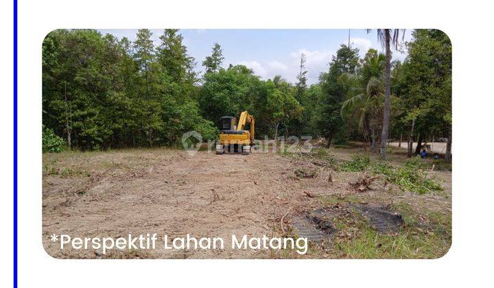 Tanah Magelang, Dekat Samasat Mungkid SHM Pekarangan  3