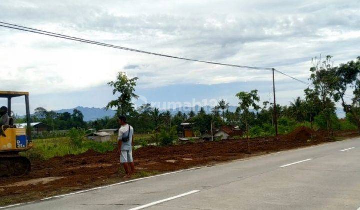 Tanah Magku Jalan Aspal Mungkid Magelang, Legalitas Aman 2