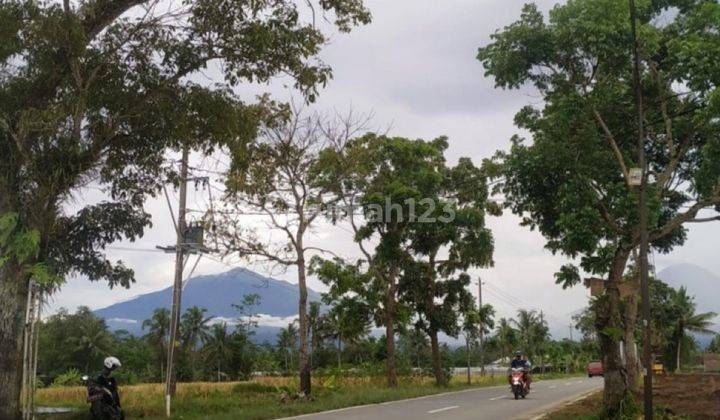 Tanah Magku Jalan Aspal Mungkid Magelang, Legalitas Aman 1