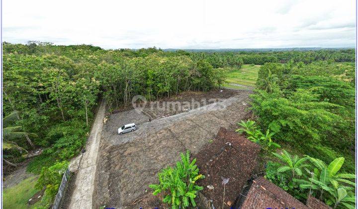 Tanah Sentolo Dekat RS. Queen Lathifa Legalitas SHM	 1