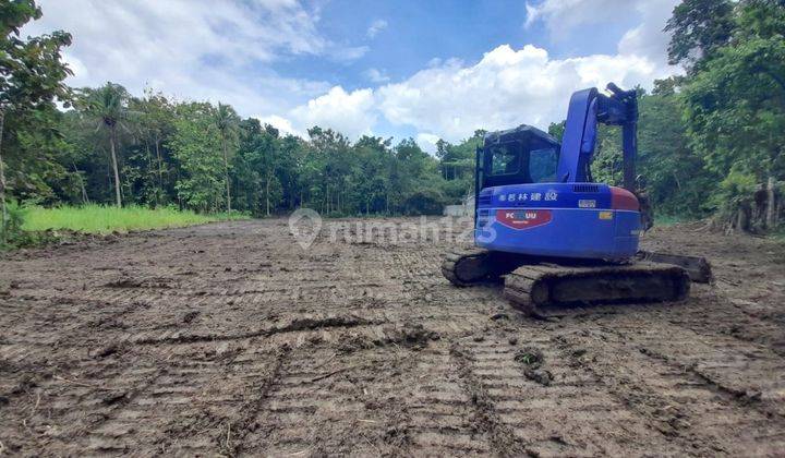 Jual Beli Tanah Dekat Lapangan Kasihan Untuk Hunian 1